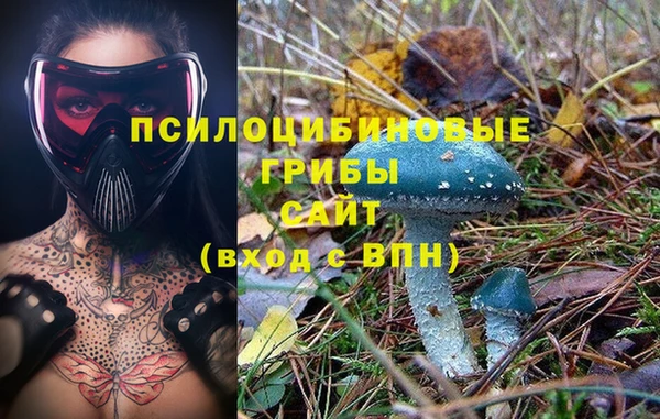 спиды Касимов