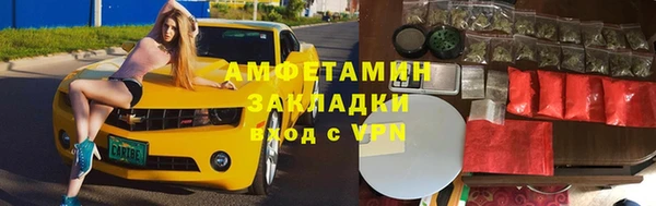 шишки Карпинск