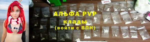 шишки Карпинск