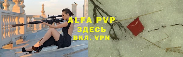 шишки Карпинск