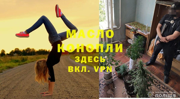 шишки Карпинск