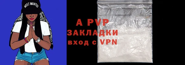шишки Каменногорск