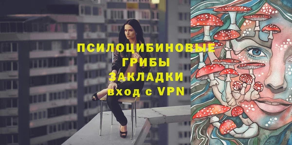 шишки Карпинск