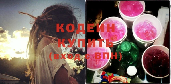 шишки Карпинск