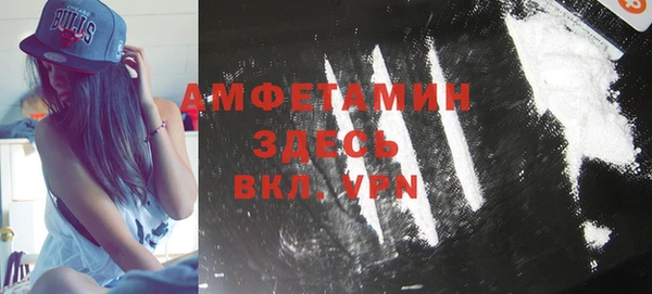 шишки Карпинск