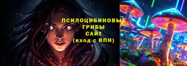 шишки Карпинск