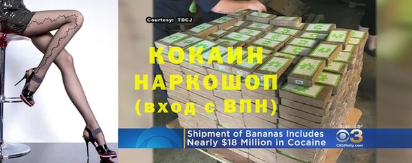 шишки Карпинск