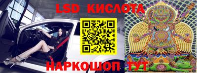 гидра Кандалакша