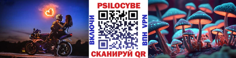 Галлюциногенные грибы мицелий  Купить закладки  Лесозаводск 