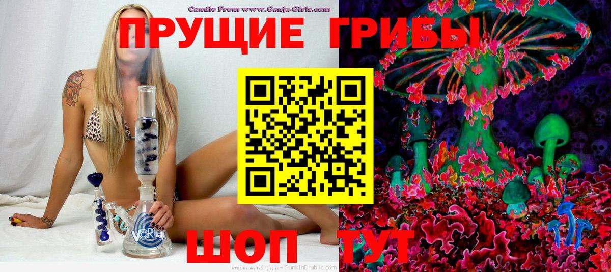 Лесозаводск  Псилоцибиновые грибы Psilocybine cubensis  Вход с VPN 